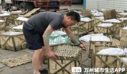 大渝网爆料台最新,揭秘最新热点事件背后的真相