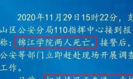 四川大学最新爆料事件,事件真相与校园风波全解析
